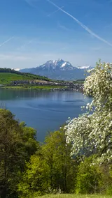 The Address Zurich/Lake Zurich & tranquility/private parking - Image 4