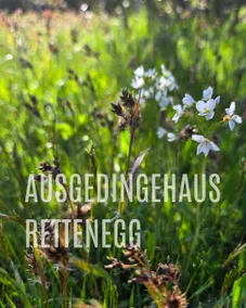 waldglück: The Ausgedingehaus - Image 2