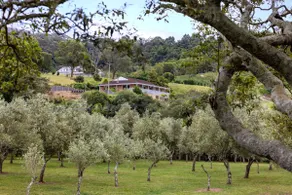 Olive Grove - Pet Friendly with Fireplace - Image 3
