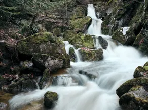 The Refuge of Babiz - Image 5