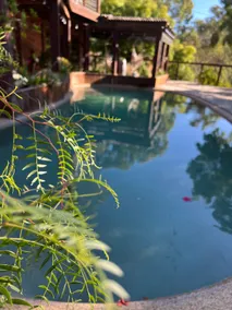Luxury Couples Retreat in Adelaide Hills. - Image 3