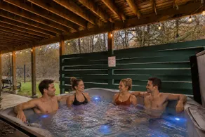 Nerf Rm | Hot Tub | Theater | Mini-Golf | Bowling - Image 4