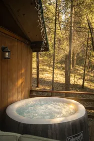 Tree house w/Hot tub - Image 4