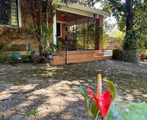 Royal Orchid - Natural charm in Tepoztlán - Image 2