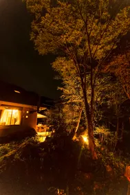 Private sauna in the forest | Reset your mind and body in nature - Image 3