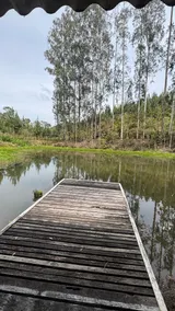 Sítio Rio Lima - A Corner of Nature - Image 4