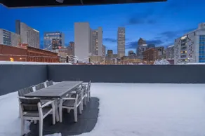 The Aristocrat - 3800 sqft Denver Loft w/HUGE Pat - Image 3