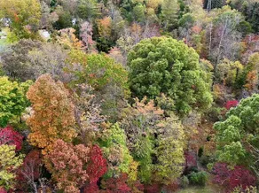 Special price 11/21 weekend due to cancellation! - Image 5