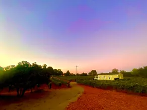 Cozy Vineyard Tiny House in Ramona Wine Country - Image 3
