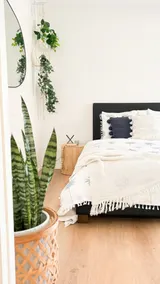 Cosy Cottage | 2 bedroom | Pet Friendly - Image 3