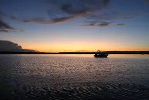 Coastal Bliss - Jervis Bay - Image 5