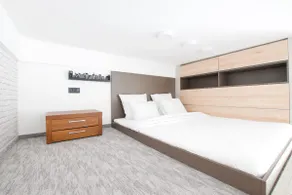 Standard Apartment by Hi5 - Gellért Spa Area - Image 4