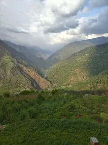 Treestays shangarh - Image 4