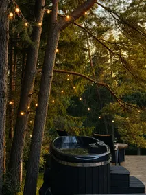 Blackview cabin - Image 2