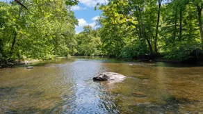 The Blue Cabin | Creek, Sauna, Hot Tub - Image 5