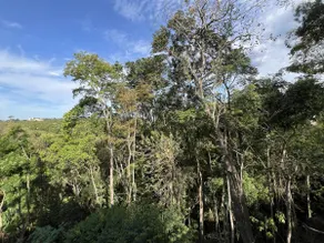 Tucano Suite - Image 2