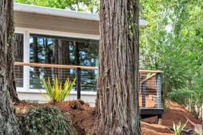 Redwood Executive Retreat - Image 5