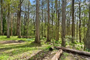 Tranquil 4/BR Retreat w/ Firepit in Sassafras - Image 4