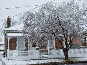 Birchfrost cottage | Quintessential cosy | Orange - Image 5