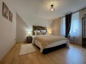 Large warm triplex of 140 m² in the Vosges - Image 2