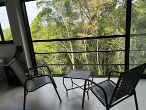 Colibrí Suite - Image 2
