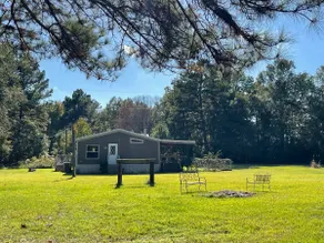 Mamaw's House in the woods! 3/2 with fireplace. - Image 2