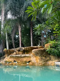 Your MIAMI Pool HOME under the Palms - Image 3