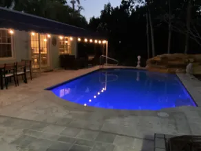 Your MIAMI Pool HOME under the Palms - Image 2