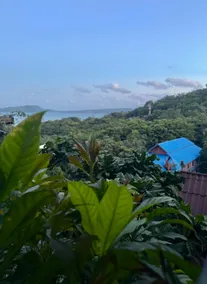 Deluxe AC Bungalow At Happy Elephant - Image 4