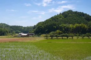 Setouchi Retreats Sera Highlands - Image 5