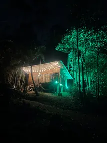 Log Cabin - Image 5