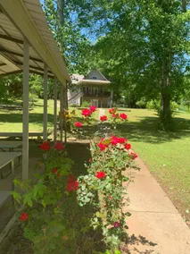 Basement apartment with pier and covered pavilion. - Image 3