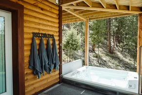 Bailey Overlook Lodge: HotTub|GameRm|MovieTheater - Image 3