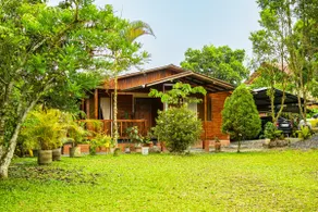 Amazon Puyu Glamping - Image 2