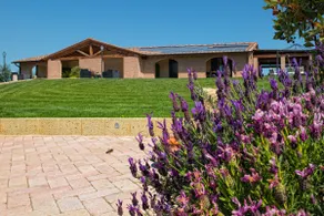 Villa degli Olivi - Image 2