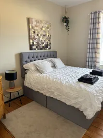 Dog friendly Victorian terrace - coast and country - Image 3