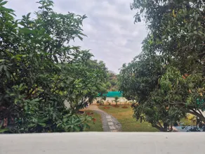 Taproot Homestay - Image 3