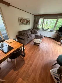 Chalet Cuckoo Veluwe - Image 2