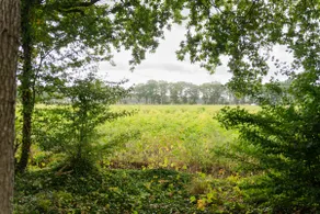 Cozy and authentic in nature - Image 4