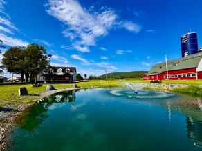 VT Luxury Farmhouse | 5 Suites • Pond • Game Room - Image 3