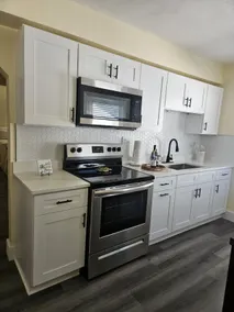 Palmera House in Tampa with Hot Tub 10 minutes from Airport & Busch Gardens - Image 3
