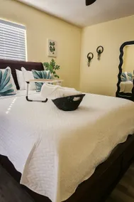 Palmera House in Tampa with Hot Tub 10 minutes from Airport & Busch Gardens - Image 2
