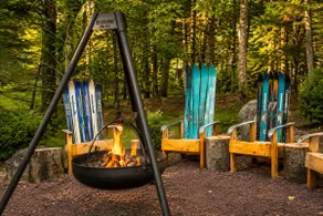 Lake Naomi Creekside Cabin| Firepit, Fairy Village - Image 4