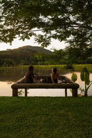 Lumina Cabin, Jacaranda Retreat - Image 5