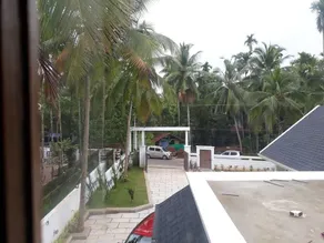 devadaru - Image 5