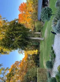 Great 2-bedroom apartment on the ground floor with garden and pool - Image 5
