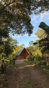 Sunflower Cabin - Image 3