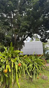 Sunflower Cabin - Image 5