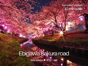 New building | 35㎡ 4 people | Genuine cherry wood | Disney | 45 minutes to Narita | Busy street | 7 minutes walk from Funabashi Station | SAKURA2#202 - Image 2