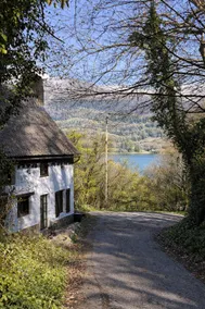 Lakeside House • 8 people • Terrace • Quiet - Image 2